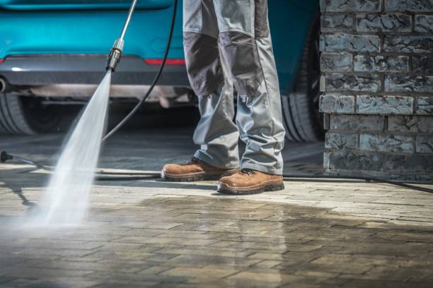 Best Soft Washing  in Baudette, MN