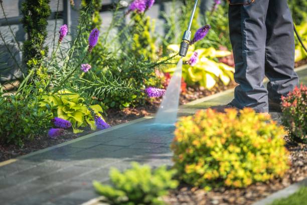 Best Post-Construction Pressure Washing  in Baudette, MN