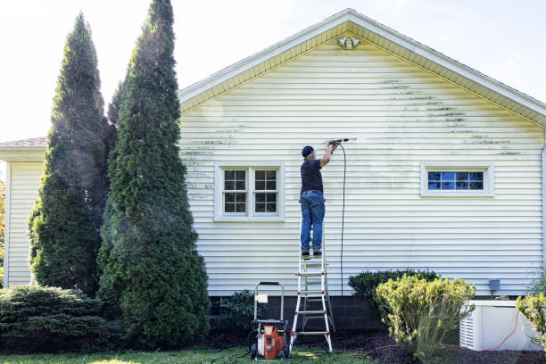Pre-Holiday Cleaning in Baudette, MN